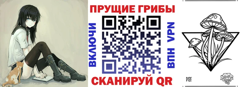 Галлюциногенные грибы Cubensis MEGA ссылки Кинешма как найти закладки