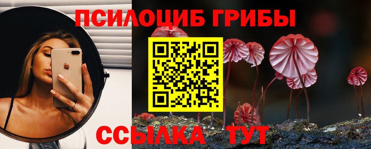 Псилоцибиновые грибы Magic Shrooms  Вход с VPN  Галлюциногенные грибы Magic Shrooms  Кинешма 
